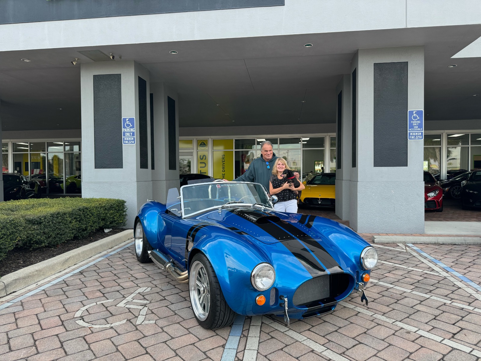Used 1965 Roadster Shelby Cobra Replica Classic for sale Sold at Naples Motorsports Inc - Morgan of Naples in Naples FL 34104 1