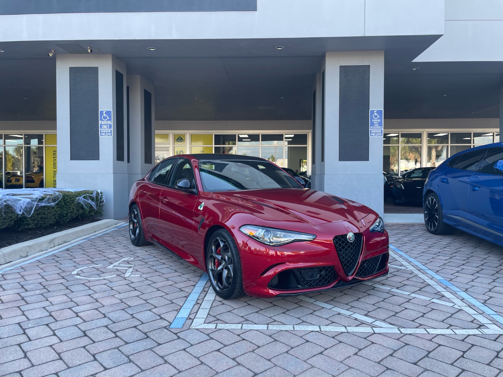 New 2023 Alfa Romeo Giulia Quadrifoglio for sale Sold at Naples Motorsports Inc - Morgan of Naples in Naples FL 34104 1