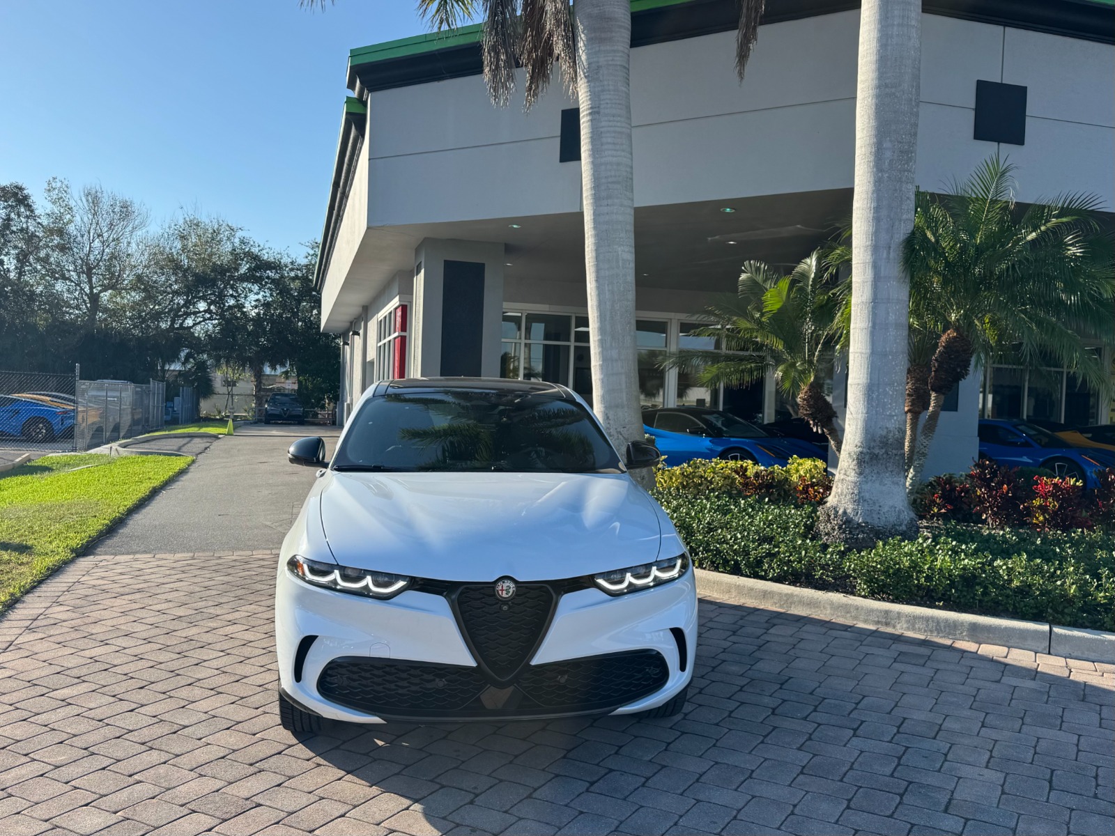 New 2024 Alfa Romeo Tonale Ti for sale Sold at Naples Motorsports Inc - Morgan of Naples in Naples FL 34104 1